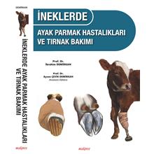 İneklerde Ayak Parmak Hastalıkları ve Tırnak Bakımı